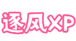 逐风XP